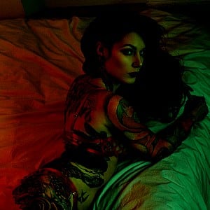Cervena Fox