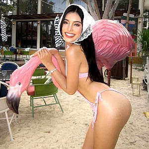 Chanya Leesakul