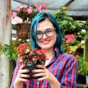 Clara Lucia