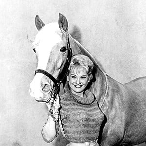 Connie Hines