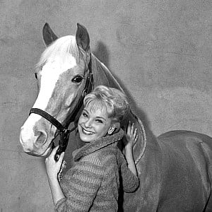 Connie Hines
