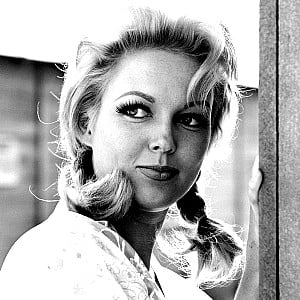 Cynthia Lynn
