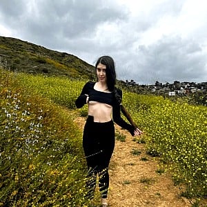 Daisy DayDream