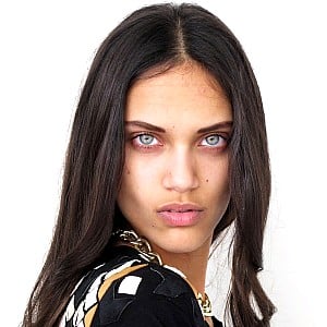 Dalianah Arekion