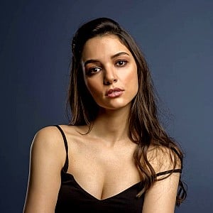 Damla Colbay