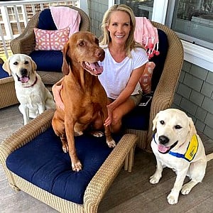 Dana Perino