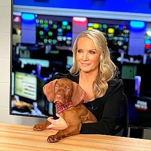 Dana Perino