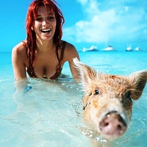 Dani Thorne