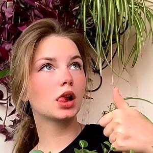 Daria Mamchur