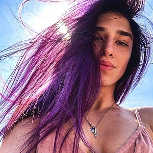 Daria Pluzhnikova