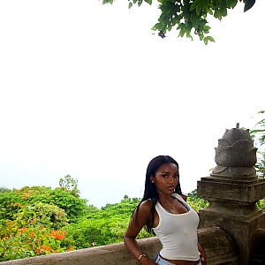 Diamante Laiva