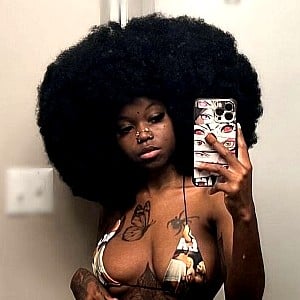 Diazlei Monroe
