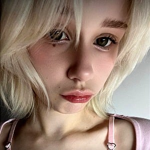 Dollielilyhaze