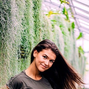 Dominique D'Angelo