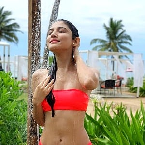 Donal Bisht