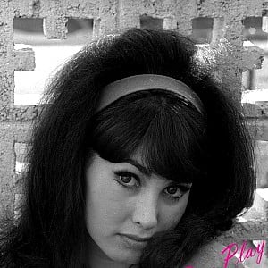 Donna Loren