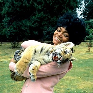 Eartha Kitt