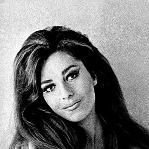 Edy Williams