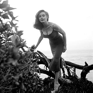 Elaine Stewart