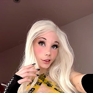 Fetchbutterfly
