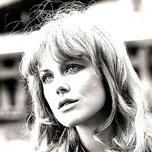 Fiona Lewis