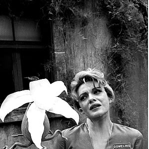 Gail Kobe