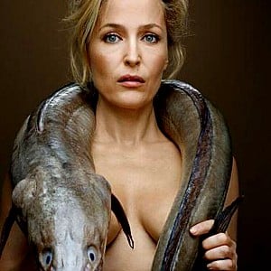 Gillian Anderson