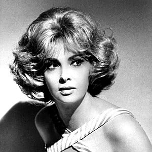 Gina Lollobrigida
