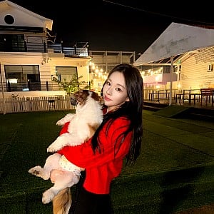 Godsehee