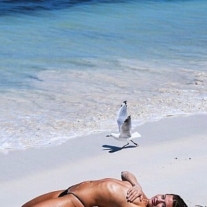 Gracie Winning