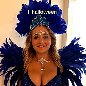 Harley Stein
