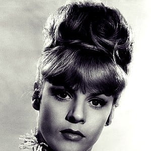 Heidi Bruhl