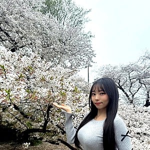 Hime Sawada