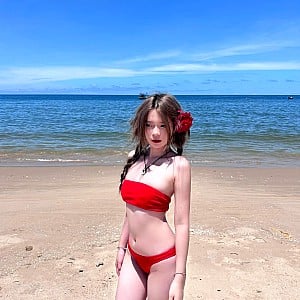 Ho Vu Thuy Linh