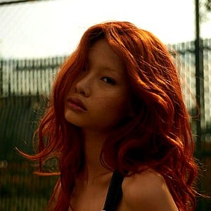 HoYeon Jung
