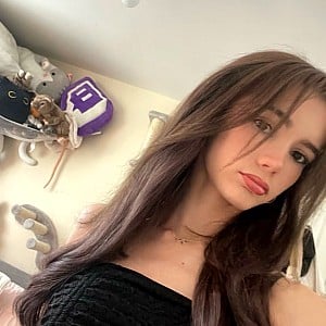 Hollsbeauti