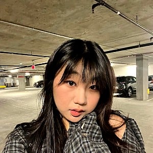 Jaime Jin Lee