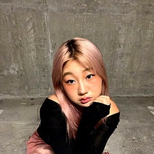 Jaime Jin Lee