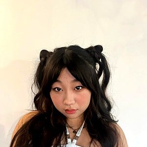 Jaime Jin Lee