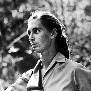 Jane Goodall