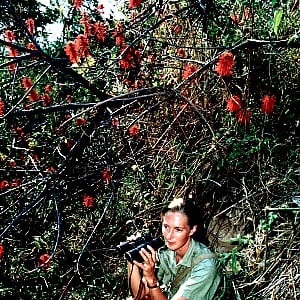 Jane Goodall