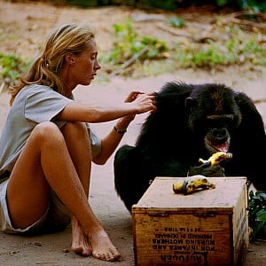 Jane Goodall