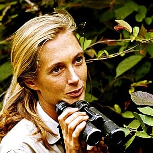 Jane Goodall
