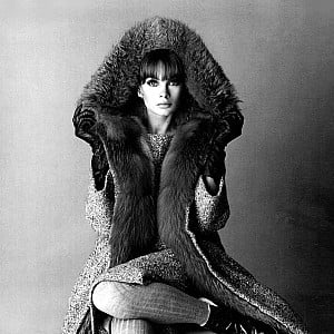 Jean Shrimpton