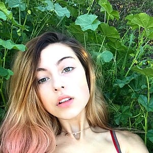 Jelly Bree