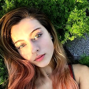 Jelly Bree