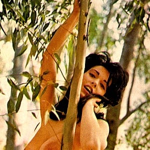 Joan Brinkman