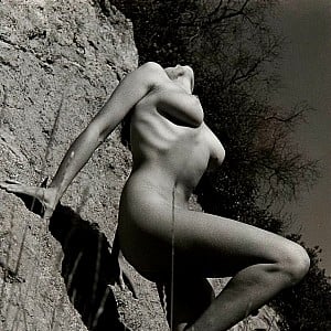 Joanne Arnold