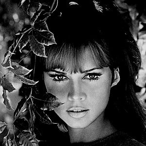 Jocelyn Lane