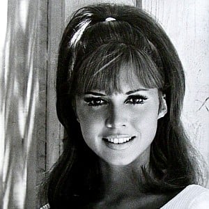 Jocelyn Lane
